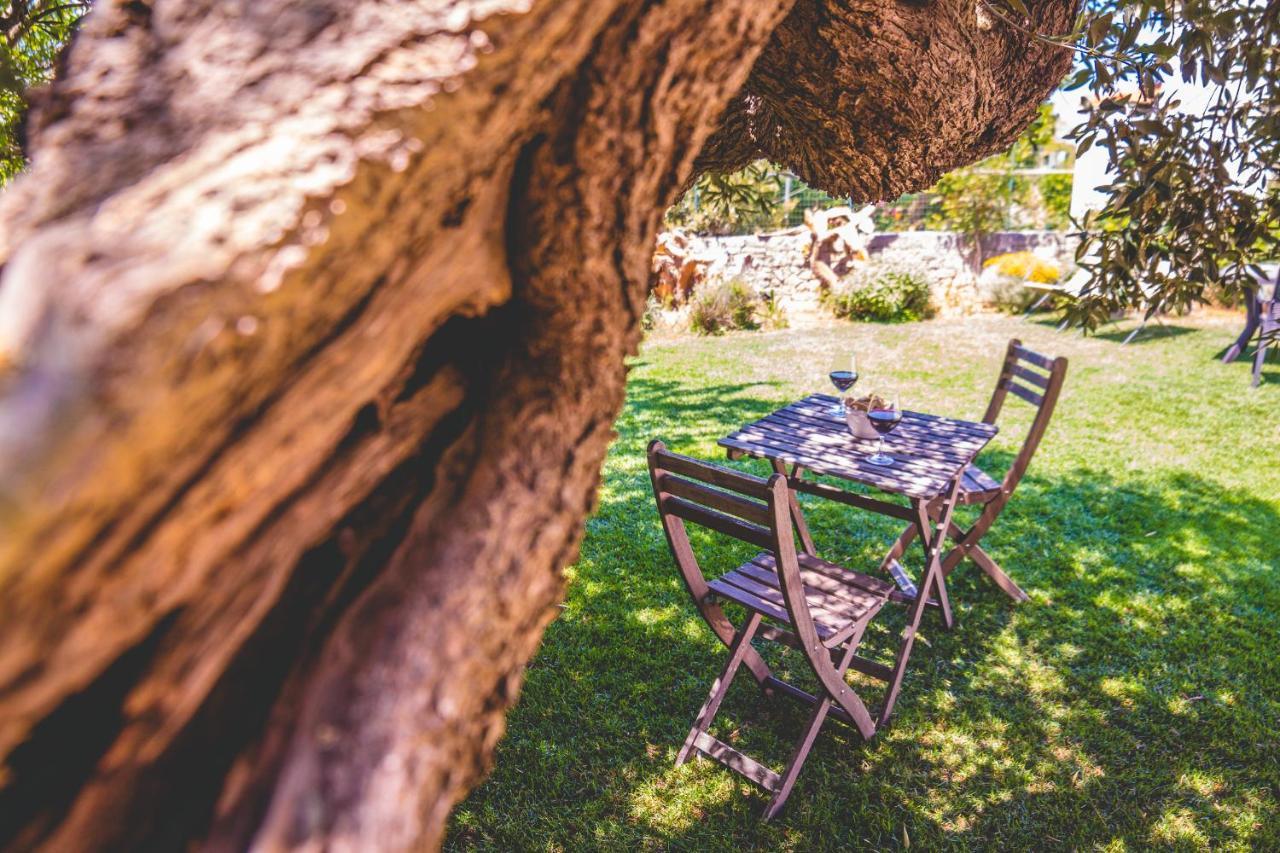 Trulli-Eu Guesthouse Αλμπερομπέλο Εξωτερικό φωτογραφία